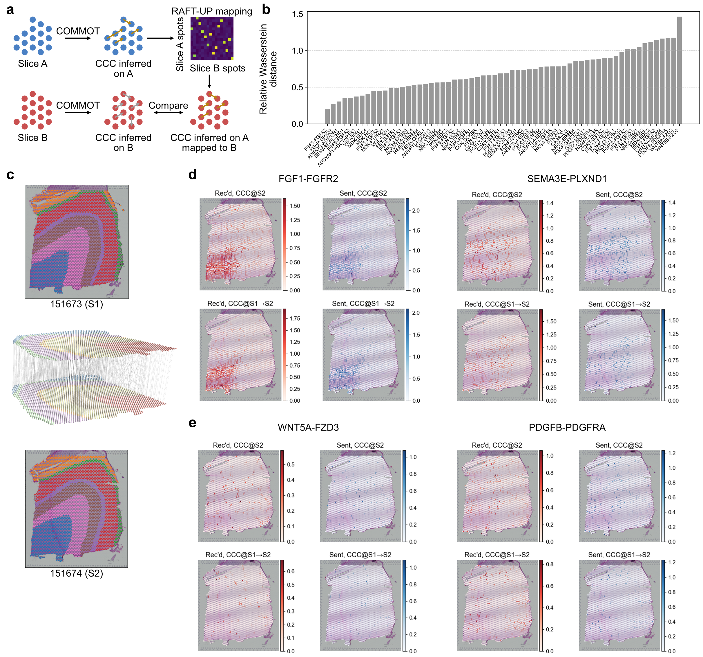 Cell-cell communication